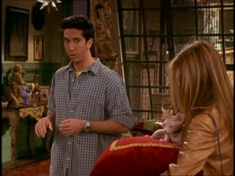 Friends - Il Gatto di Rachel