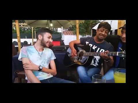 Dan Drăghici și Bobiku Violin frumusețe de șpriț❤️❤️❤️