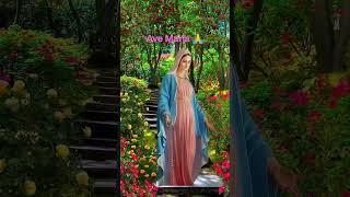 ❤️🙏😇Pray for us 🙏❤️😇