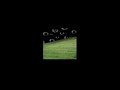 Lost Woods Slowed By Skywave