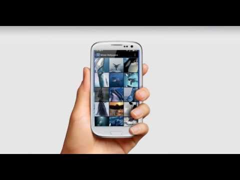 Whale Wallpapers Video