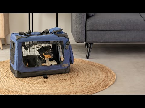 Faltbare Transportbox |  TB100 |  lionto