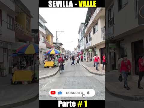 SEVILLA VALLE - TIERRA DEL YIPAO