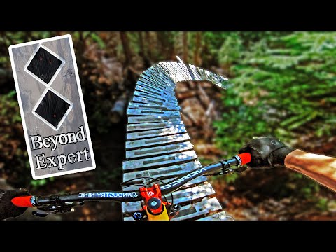 "Beyond Expert" - Back For More