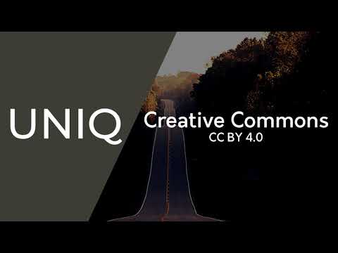 Art of Silence Extended Loop | Uniq (Copyright Free, CC BY)