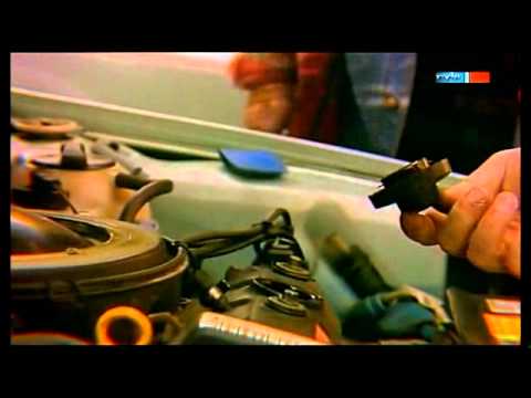 Der Automarkt nach der Währungsunion in der DDR