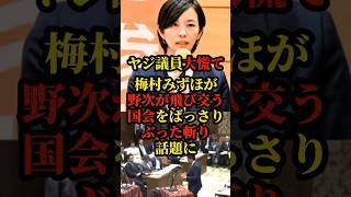 参政党、梅村みずほがヤジが飛び交う国会をばっさりぶったぶった斬る質疑が話題に