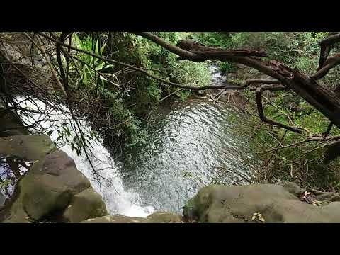 Le Bassin Vacoas vers la Rivière St-Louis