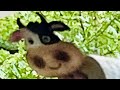“Mike Jones Beat” Bigwebby4k