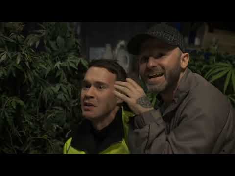 Brassic The Best of Ronnie Croft