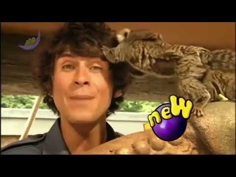 CBeebies Continuity (13th July 2012) (Fake)