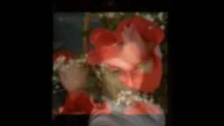 fanatico de ti pesado