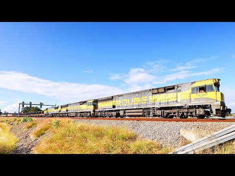 Triple Headed QUBE Steel Train - QL005 QL002 QE003 - Maitland Steamfest 2025 (Timelapse)