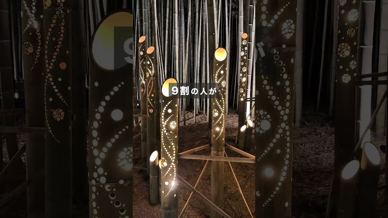 【茨城旅行】期間限定の絶景！ドラゴンバンブーの竹あかりが凄すぎた✨週末旅行やドライブ観光におすすめ