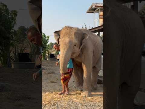 แค่…วิ่ง❗️ไปถาม?