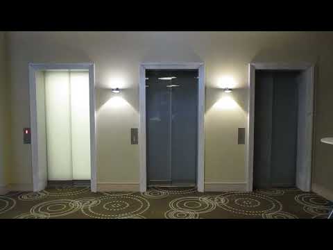 Dresden, Hotel Hyperion Am Schloss (1)