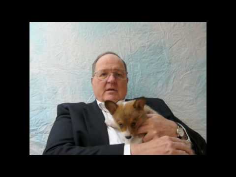 Richmond Virginia Dog Bite lawyer Wayne O'Bryan Southside VA