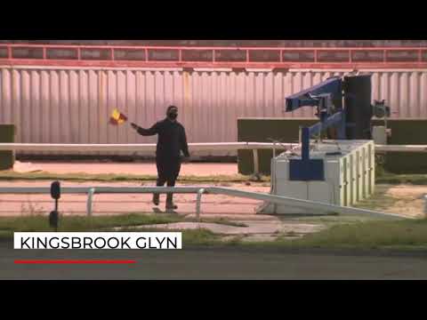 Kingsbrook Glyn - Central Park Stayers