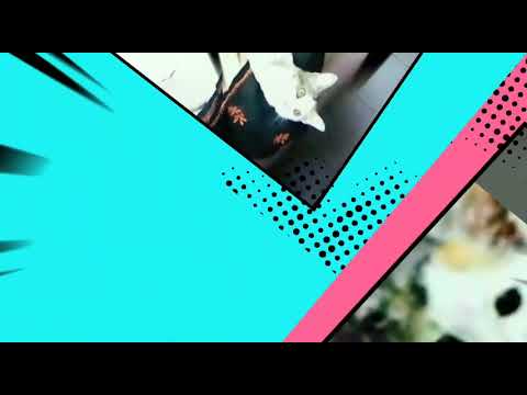 Happy birthday Daniel