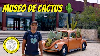 Visitamos el Museo del Desierto en Coahuila