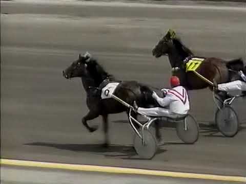 V65 och Elitloppet 1985 Solvalla 1985-05-27