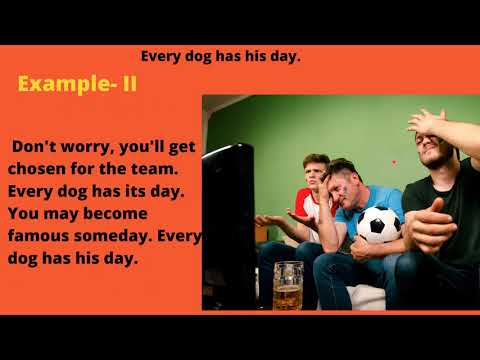 Every dog has his day - English Proverb