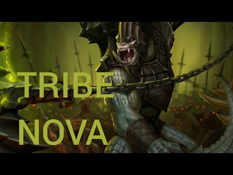 Tribe vs NOVA - Week 4 VPL Preseason Invitational Highlights