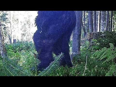 中国、自給自足の宇宙ステーション生活をシミュレーション