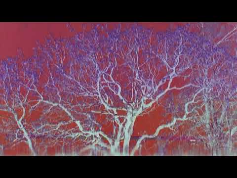 Midlake - "A Bridge To Far" (Official Visualizer)
