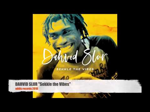 DAHVID SLUR - Sekkle the Vibes