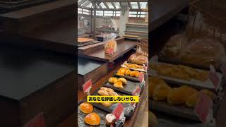 【なぜ】あなたが人混みが苦手な深い理由について　#アダルトチルドレン#深夜 #自己肯定感#HSP　#毒親#神社