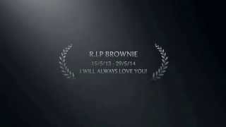 Tribute to Brownie