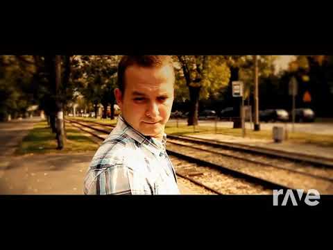 Szczęścia Be Wise - Mesajah & Protoje ft. Kamil Bednarek | RaveDJ