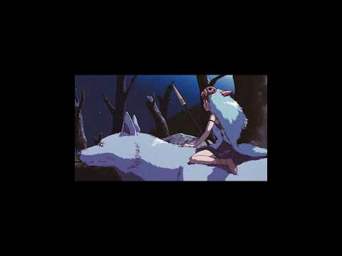 Bxnjamin - Forest [instagram video]