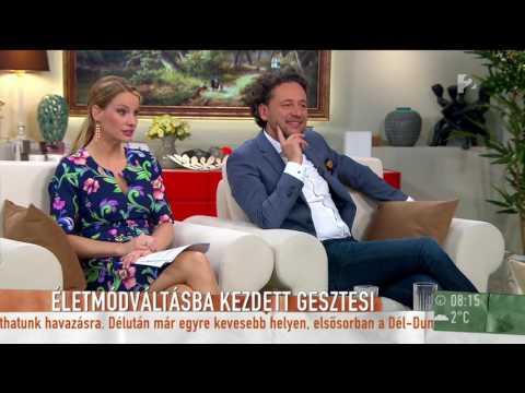 Hemzsegnek az ellenőrök Gesztesi Károly miatt a HÉV egy szakaszán - tv2.hu/mokka