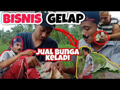 gara-gara-bunga-keladi-yang-sedang-viral-akhirnya-transaksi-bisnis-gelap-komedi-madura