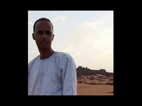 kadi 2017 tarha takal