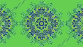 Trampled By Turtles - Wildflowers - (Tom Petty cover)