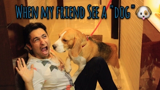 Me vs My Friend When We See a DOG. || Harsh Beniwal