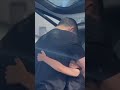 Robert Whittaker’s kids surprise him when he gets back home ? | #Shorts