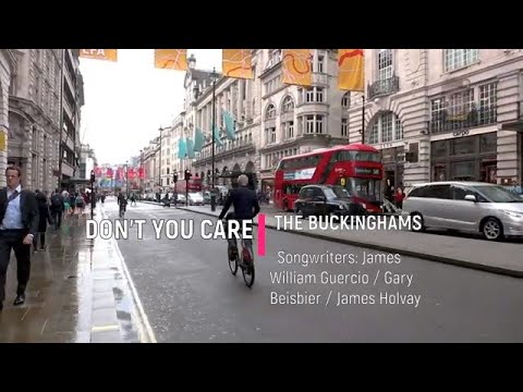 Don't You Care - The Buckinghams  [w/Lyrics]