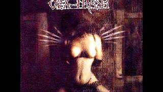 Sextrash "Maze of the Damn Madness"