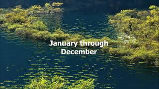 It Was Almost Like A Song by Ronnie Milsap - 1977 (with lyrics)