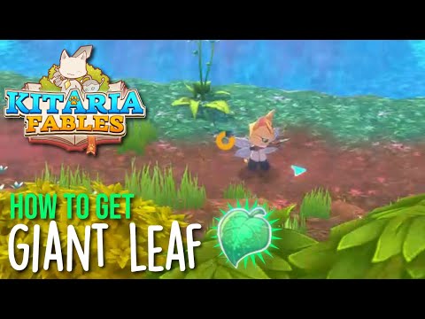Where to find Giant Leaf in Kitaria Fables