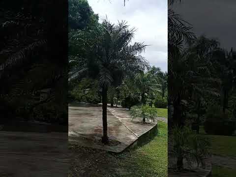 Quebrada de Lules Tucumán Argentina.