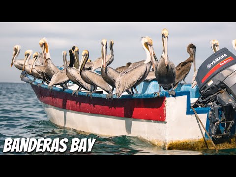 Exploring Banderas Bay MEXICO - Guided Tour: Boating, Beaches, Backflips & More