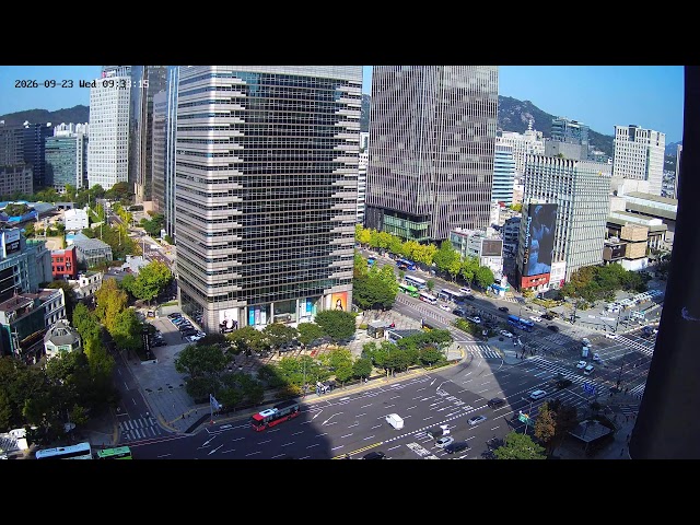 光化門大通り（광화문대로）