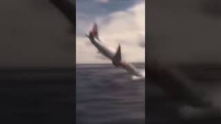 Download lagu #tabawa luka pesawat lion air jatuh#pesawatlionair #detikdetikpesawatlionairjatuh#shortsvideo#fyp mp3