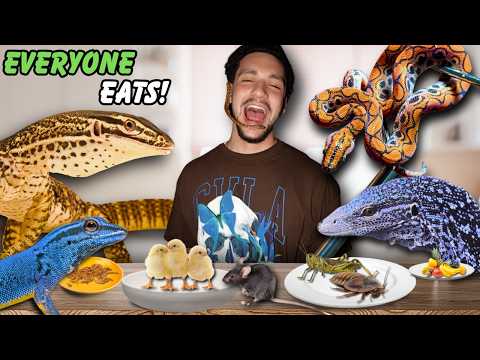 Feeding ALL My Animals In My Reptile Room!