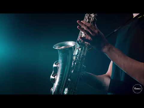 SAX House Lounge Bar Music 2019 - Nu Lounge Bar Music 2019 #3